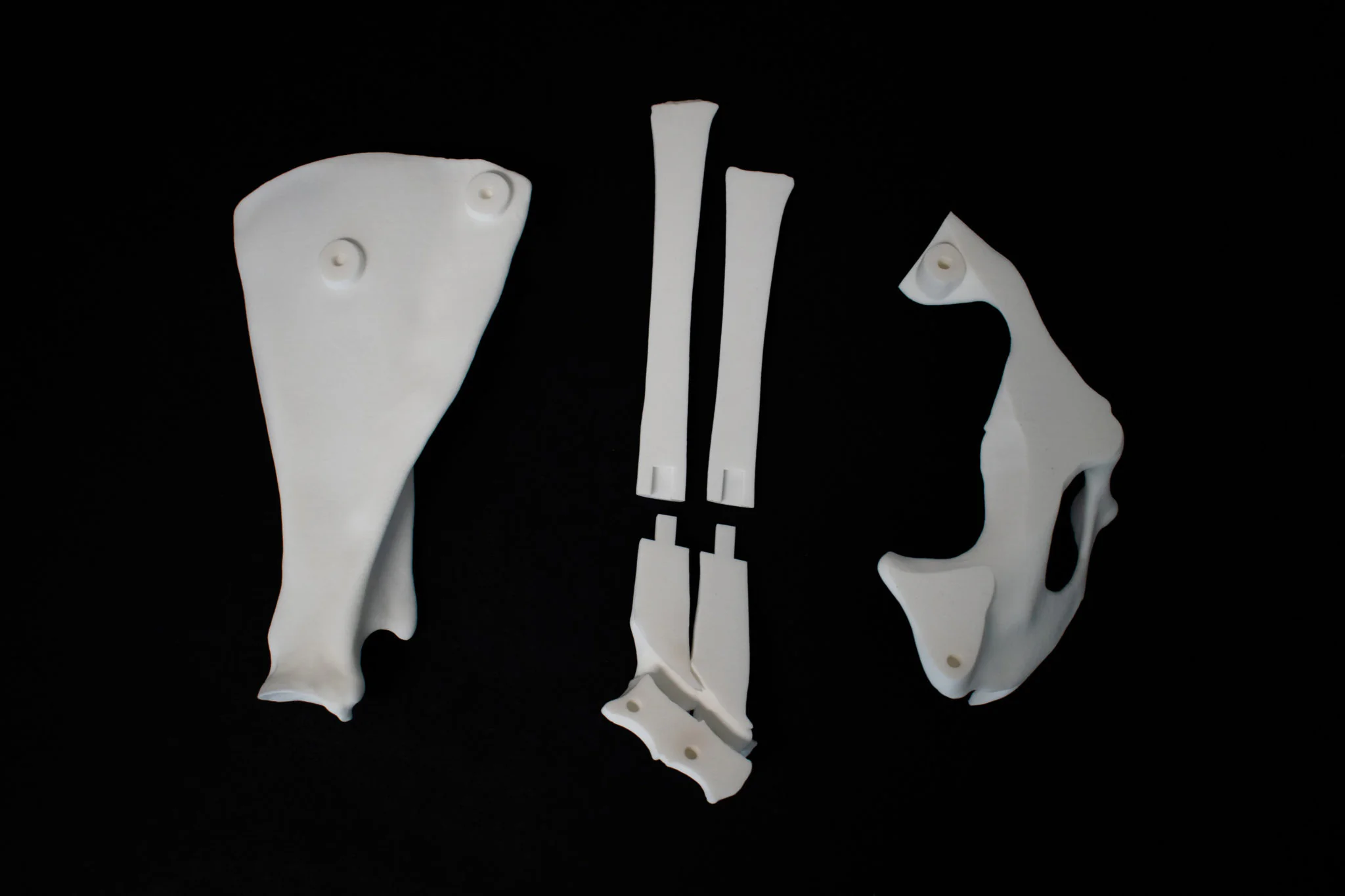 SLS 3D printed fossil components showing segmented construction and detail quality
