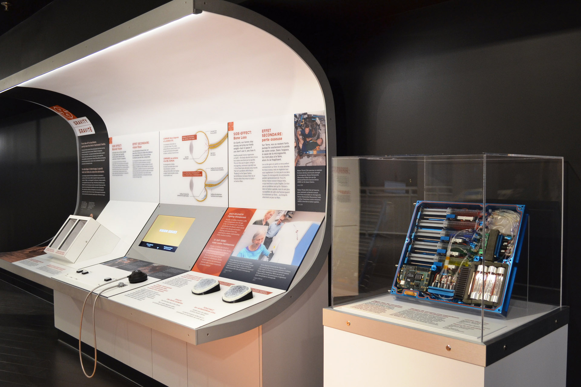 Health in Space exhibit at Canadian Aviation and Space Museum featuring 3D printed bone density models