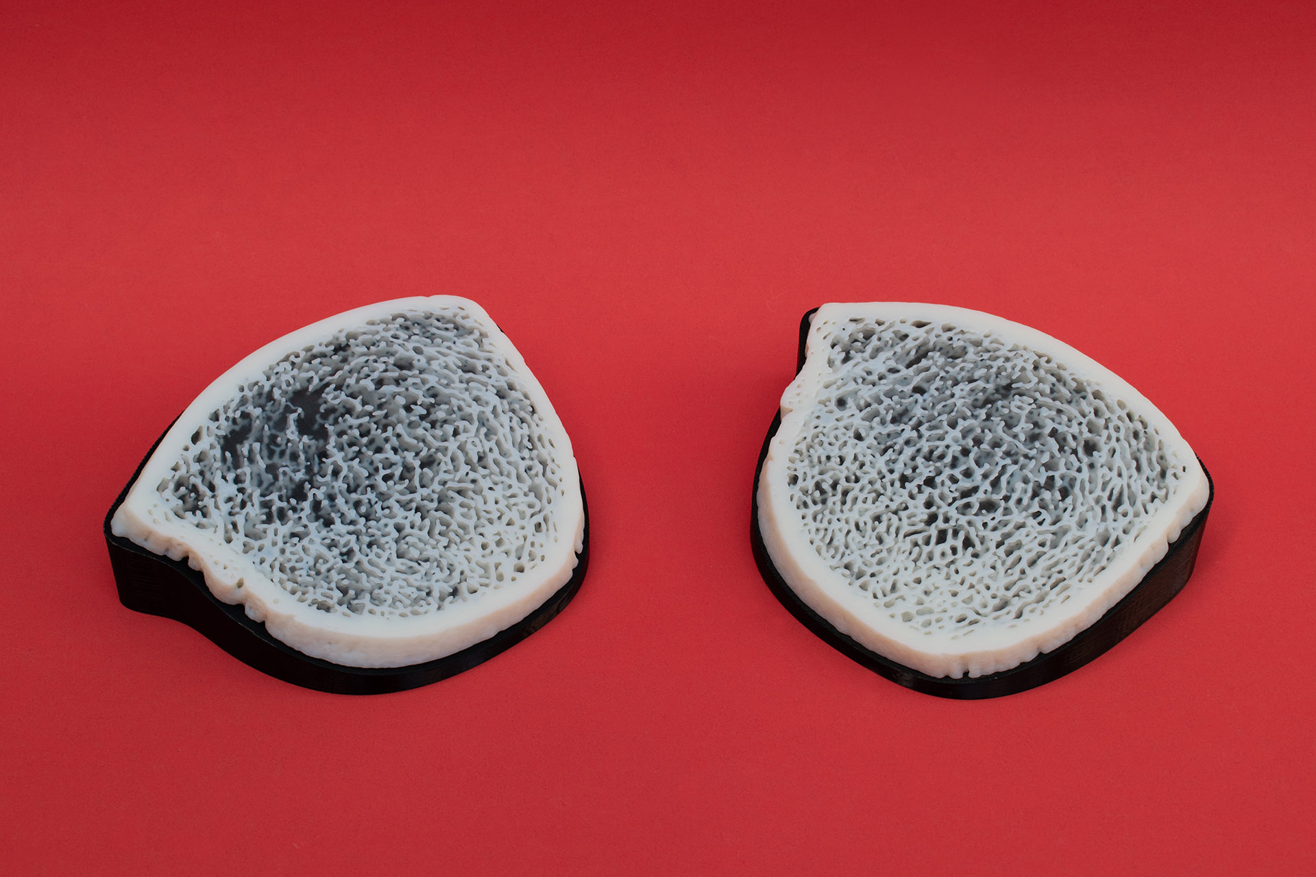 3D printed museum exhibit bones and artifacts displayed in professional museum setting