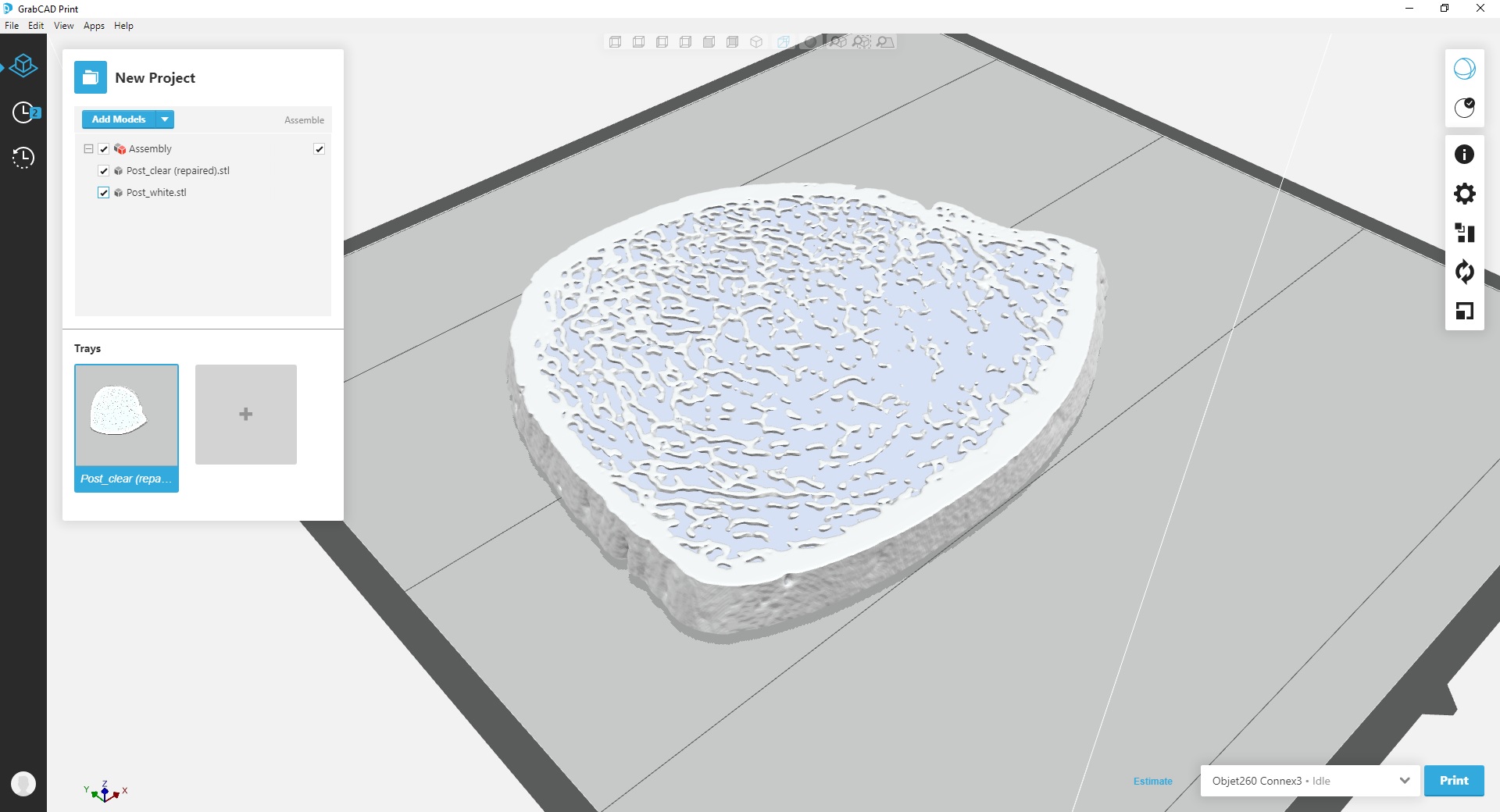 Multi-material 3D printed bone model showing transparent protective matrix with exposed bone texture